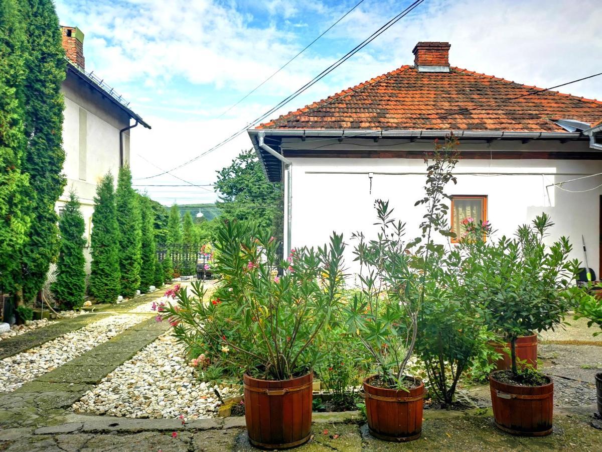 Casa Petrescu Villa Curtea de Argeş Esterno foto